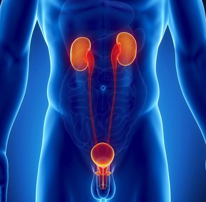 aké chronické ochorenia môžu ovplyvniť mužskú potenciu